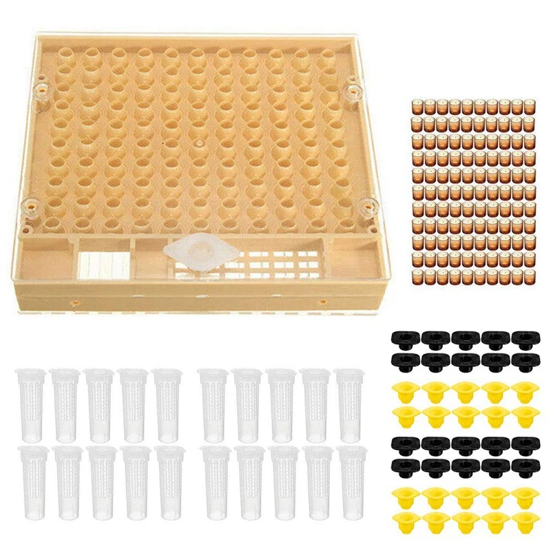 

HHO-Cultivating Box Non-Toxic Garden Large Equipment Set Beekeeping Tools Plastic Durable Catcher Cage Bee Cell Cups Queen Reari