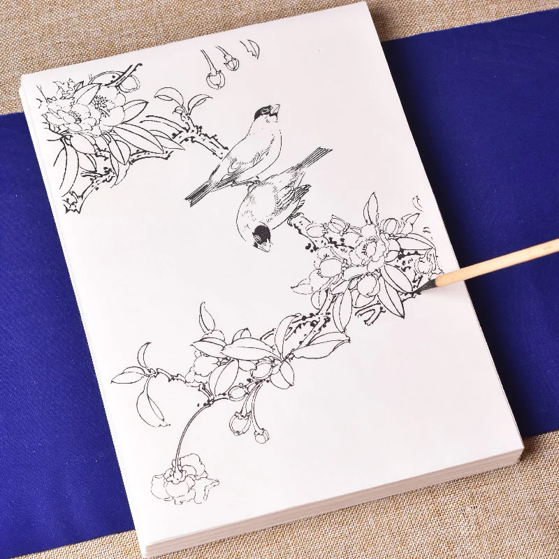 97pcs Rice Paper Flowers and Birds Album Chinese Drawing Manuscript Copying Practice Beginners Painting Skills Basic Tutorial