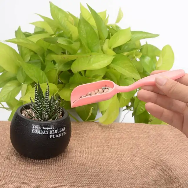 Miniatűr Lapátkefe Widger Zamatos Ültetés 5Db/Készlet Kertészeti Szerszámok - Image 5