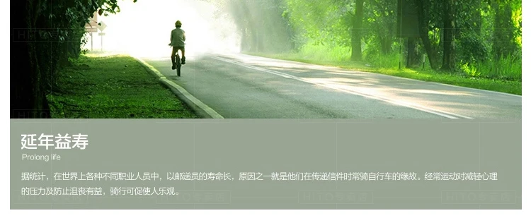Top New Brand Carbon Steel Frame 20 inch Wheel 6 Speed Shift Soft Tail Folding Bicycle Outdoor Sports BMX Bicicleta 42