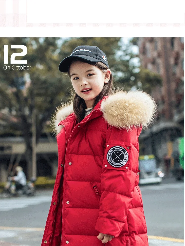 9815模板_10_副本