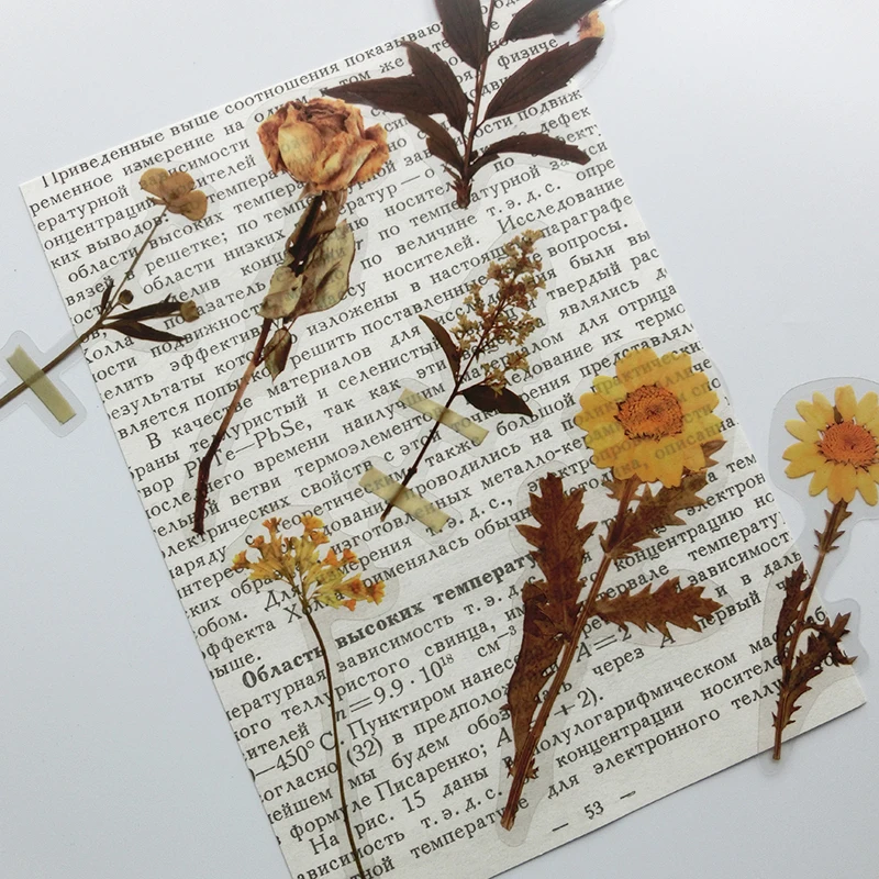 80Pcs/Set Simulation Flowers Leaves Stickers Transparent PET Sticker DIY Diary Calendar Decoration Scrapbooking Plant Sticker