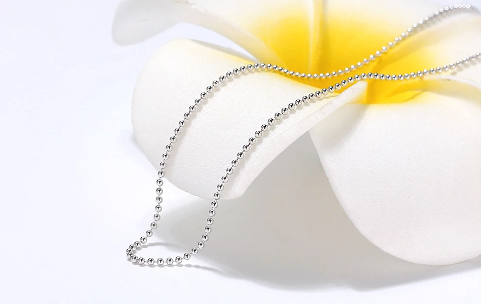 SC24-P-SCENE-IMG_9377-R