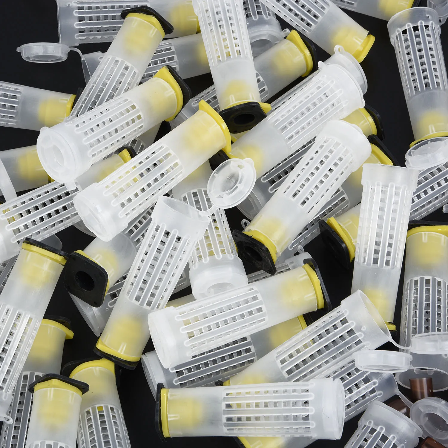 Queen Rearing Cupkit коробка и 110 шт роликовые клетки для волос и 110 шт клеточные чашки набор для пчеловодства