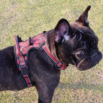 

Pet Dog Strap Leash Harnesses Reflective Nylon Harness Adjustable Soft Leash Set Medium Large Big Dogs Collar Dog
