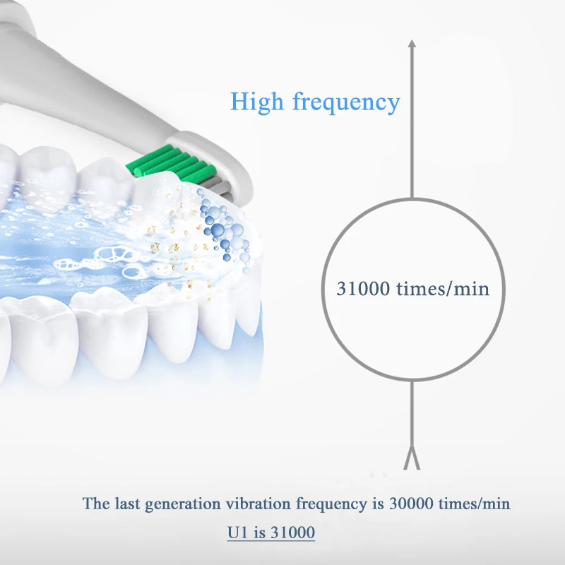 Best Sonic Electric Toothbrush With Replacement Heads USB Rechargeable Electronic Toothbrushes Oral Hygiene Electric Brush Tooth