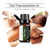 Tea Tree Essential Oil Steamer Wholesale Aromatherapy 100% Pure Natural Skin Care Therapeutic Grade Steam Sauna SPA Dedicated 4