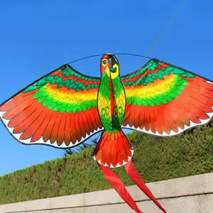 Pipa De Papagaio Verde Com Cabo Em D E Linhas Voadoras Tecido De Qualidade  Com Bastões De Fibra De Vidro Fortes Fácil Configuração Easy Fly Jogos De  Família Esporte Ao Ar Livre