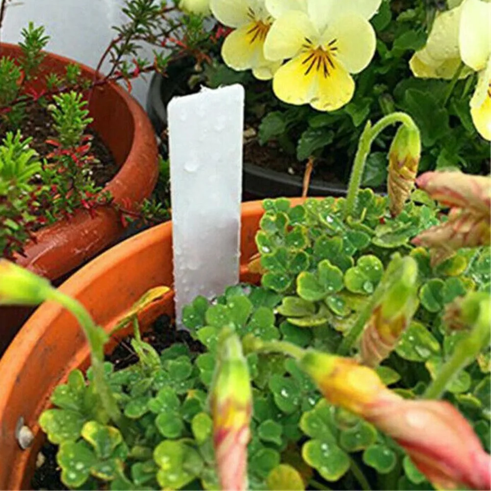 100Pcs White Plastic Plant Labels Waterproof Gardening Plant Classification Sorting Sign Tag Garden Supplies Flower Pot Decor