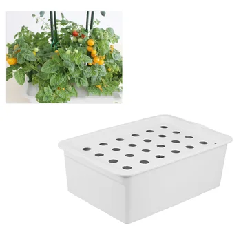 

24 Holes Seed Sprouter Tray Soil-Free Plastic Wheatgrass Mung Bean Seeds Sprouting Growing Tray with 220V Air Pump (Grey)