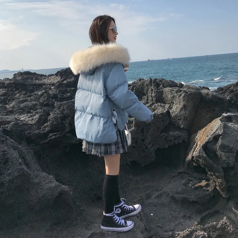 

Winter Small Cotton-padded Clothes Women's Short 2019 New Style Korean-style Loose-Fit BF Students Bread Cotton Coat INS down Fe