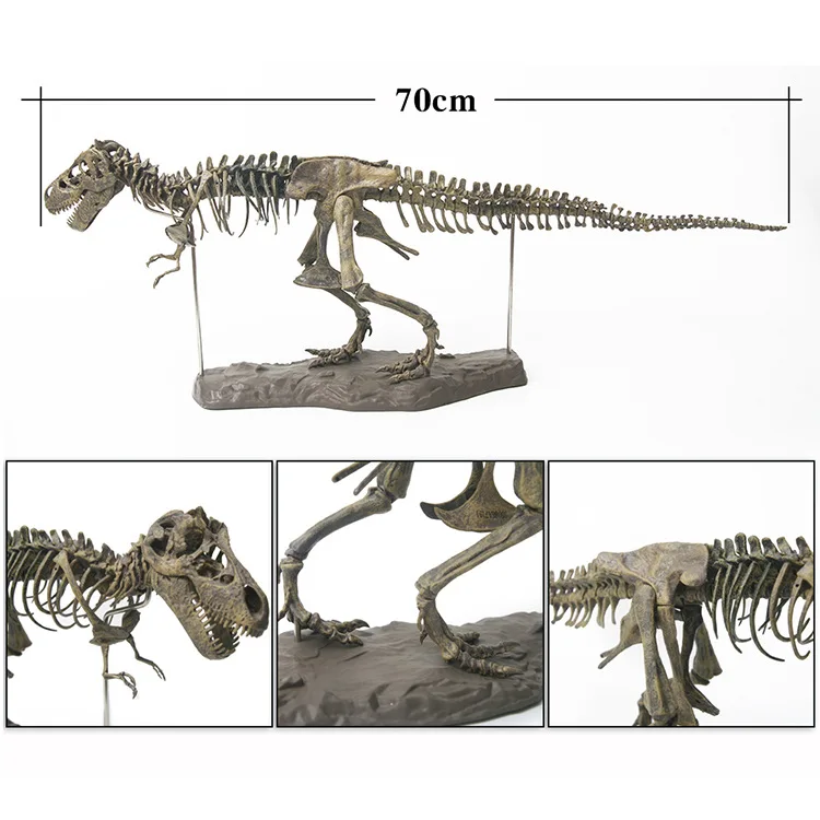  Dinosaur Model Tyrannosaurus Skeleton Model Archeology Imitation Dinosaurs Bones Fossil Specimen Te - 4000213952801