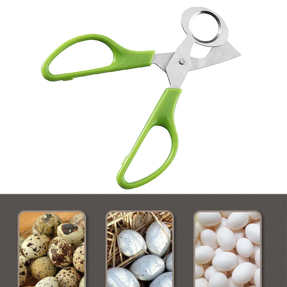 Acheter Ciseaux à œufs En Acier Inoxydable, Ouvre-œufs De Caille