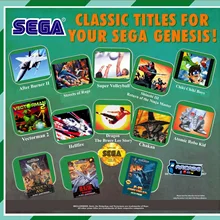 Укомплектованные случайные игры для sega Mega Drive/Genesis Console Region Free