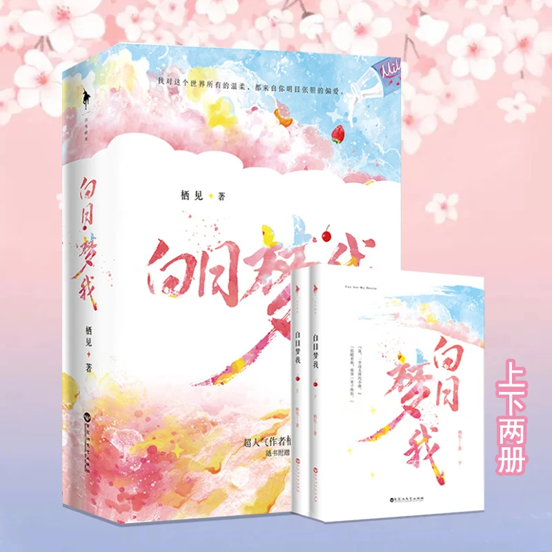 

2 Boeken/набор, новые двери, желаемая, Qi Jian, Jinjiang, Высококачественная популярная романтика, художественная литература, закладка в подарок
