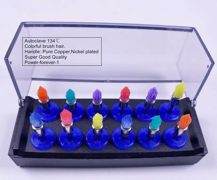 

100Pcs Dental Polisher Polishing Cup Taper Pit Fissure Nylon Latch Brush Display Box Teeth Brushes