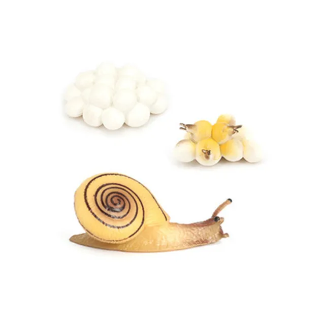 Hot DIY Growth Cycle Reptiles Snails PVC Actions Models Toy Figures Statics Model Educational toys  for Children Ornaments Gifts 6