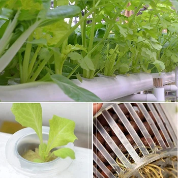 

20PCS Vegetable Net Cups Slotted Mesh Soilless Culture Planter Pots Hydroponics For Hydroponics/Aquaponics/Orchids