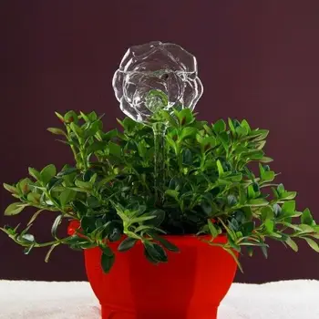 

6 Types Glass Plant Flowers Water Feeder Self Watering Bird Design Plant Waterer