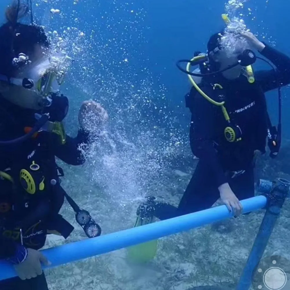 54048580_54048580_18_image