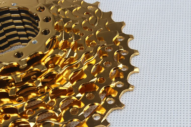 3368308779_203812192