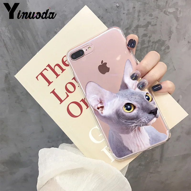 8 Yinuoda кошка Сфинкс роскошный модный чехол для сотового телефона iPhone 8 7 6 6S Plus X XS max 10 5 5S SE XR Coque Shell - Цвет: 8