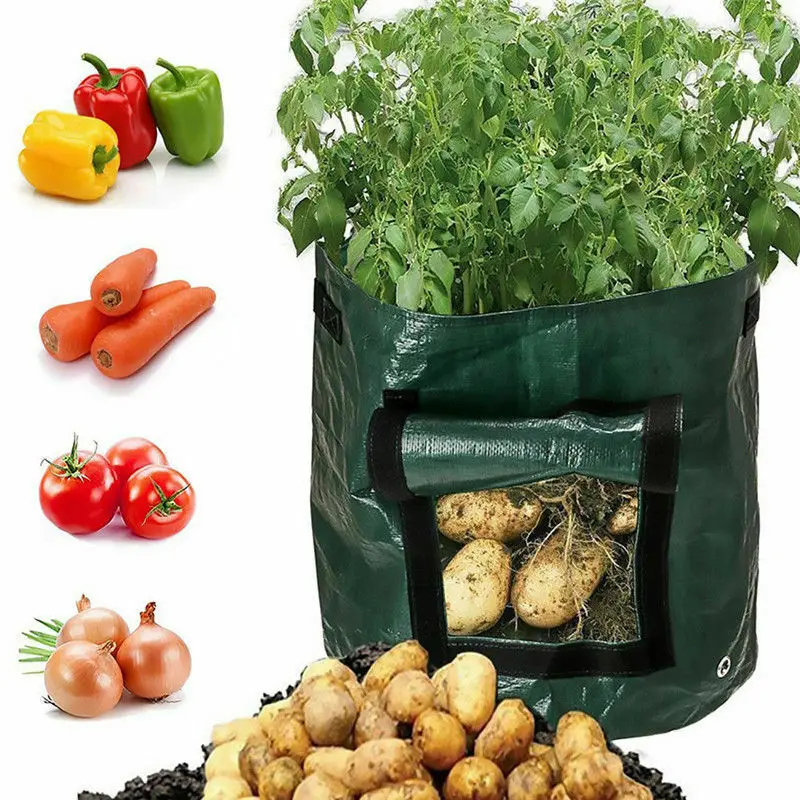 AA Potato Hanging Pouch Herb Breathable Garden Grow Bag Home Tomato Planting Container Non-woven Strawberry Cultivation AA Potato Hanging Pouch Herb Breathable Garden Grow Bag Home Tomato Planting Container Non-woven Strawberry Cultivation