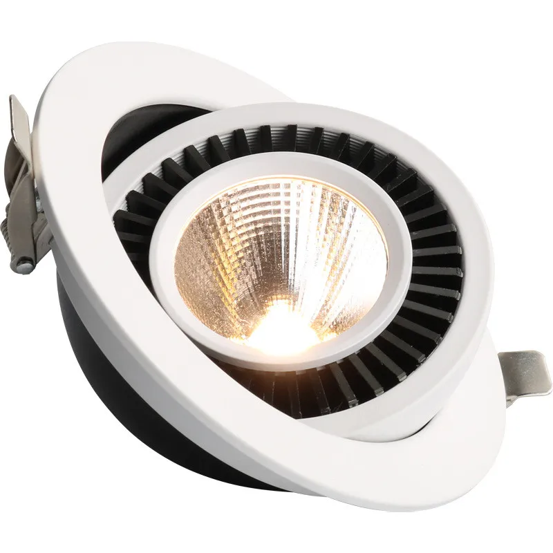 800 X 800 COB Downlight 4