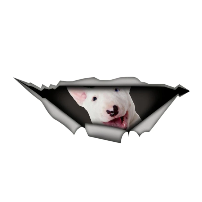 

Виниловая Водонепроницаемая наклейка на автомобиль Bull Terrier, 13 х5 см