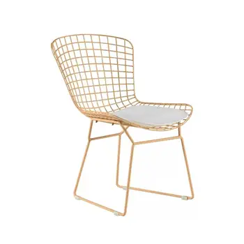 

Golden Chair Creative Designer Chair, Wrought Iron Personality Grid Nordic Light Luxury Leisure Coffee Makeup Web Celebrity Eat