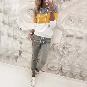 

New Autumn Patchwork Winter Casual 2 Piece Outfits Women Sweat Suits Hoody Hoddies With Ankle-Length Pants Two Piece Set G1172