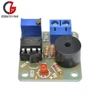 12V Accumulator Storage Battery Low Voltage Undervoltage Overcharge Discharge Sound Alarm Buzzer Detector Protection Board ► Photo 2/6