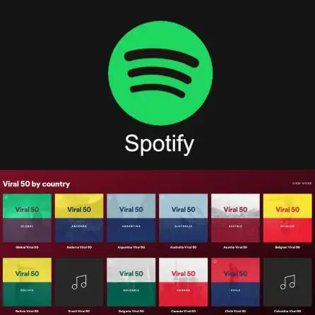 1 год гарантии Личная подписка Spotify Premium работа на ПК Смарт ТВ приставки Android IOS Телефон ТВ-палка G6
