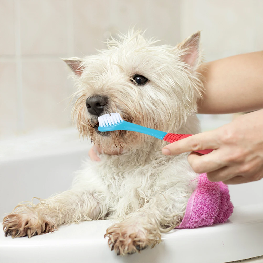 4 шт. Стоматологическая гигиена полости рта стоматологической помощи собака