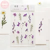 Mr.Paper 12 Designs Natural Daisy Clover Japanese Words Stickers Transparent PET Material Flowers Leaves Plants Deco Stickers ► Photo 3/6