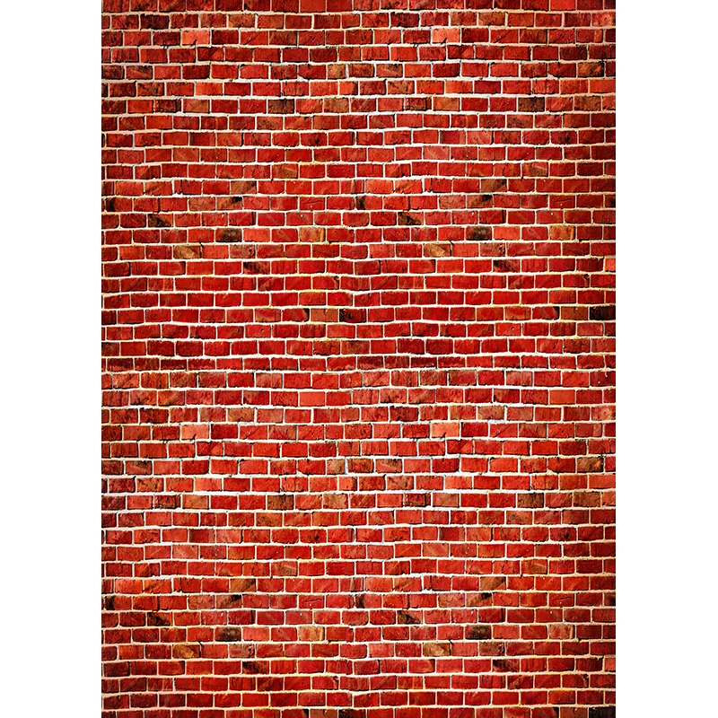    Ƽ    Backdro Psportrait    Studio Prop 21128 ZQZQ-04
