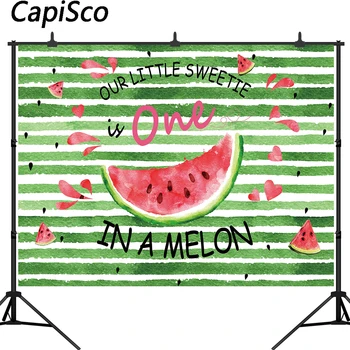 

Capisco Watermelon Party Backdrop One in a Melon Birthday Party Banner Photography Background First Birthday Pink Melon Party