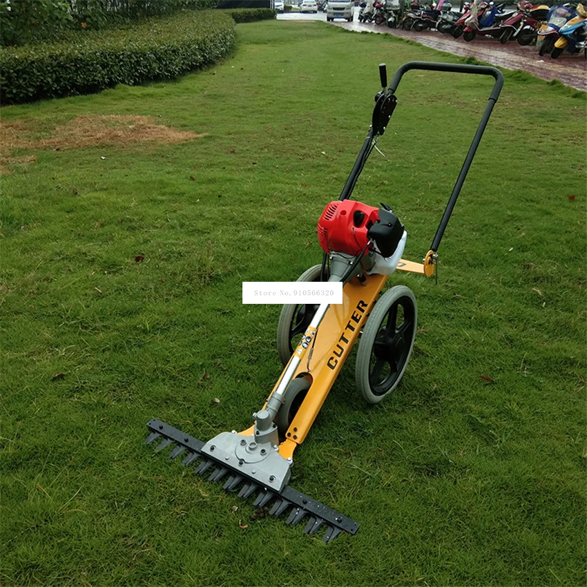 Hand-Pushed Lawn Mower Multifunctional Four Stroke Mini Gasoline Reel Mower  Agricultural Orchard Brush Cutter Garden Tool 700W