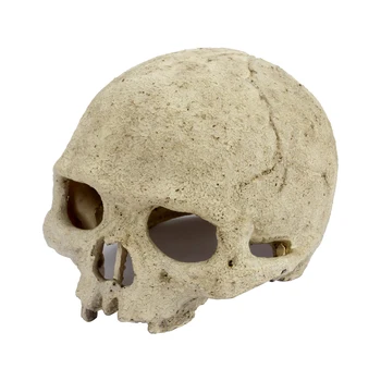 

Senzeal Resin Skull Aquarium Ornament Reptile Landscape Decor for Fish Lizard Gecko Spider