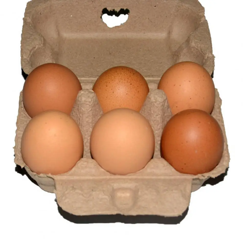 Коробка Для Яиц 6 Шт Купить