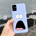 Case-c30