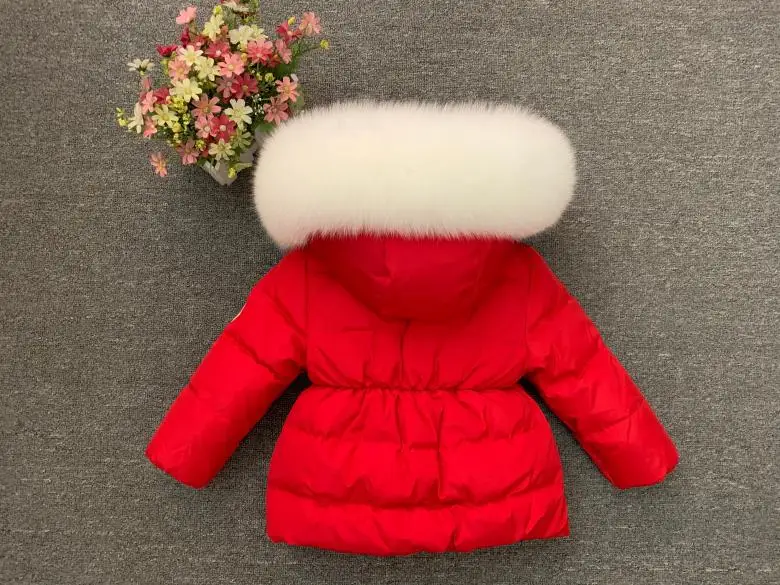 O1CN01ePOeTX26ASy11OgvM_!!67887621