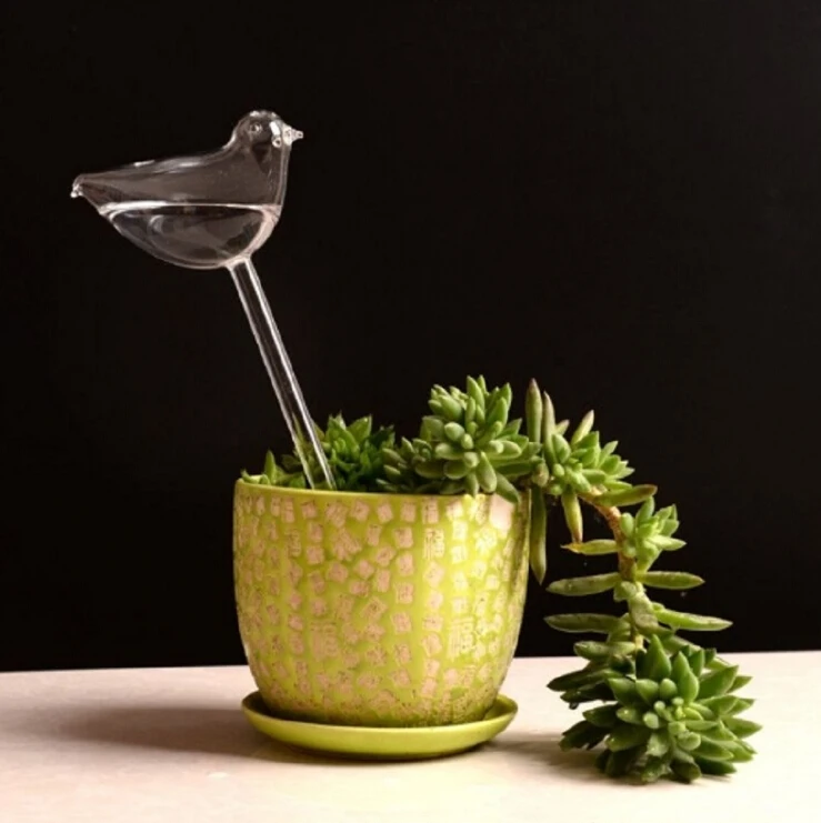 Glass Plant Flowers Water Feeder Automatic Self Watering Devices Bird Star Heart Design Plant Waterer 6 Types