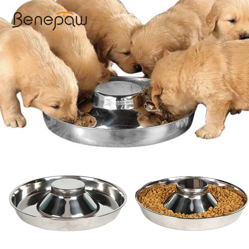 safe stainless steel dog bowls