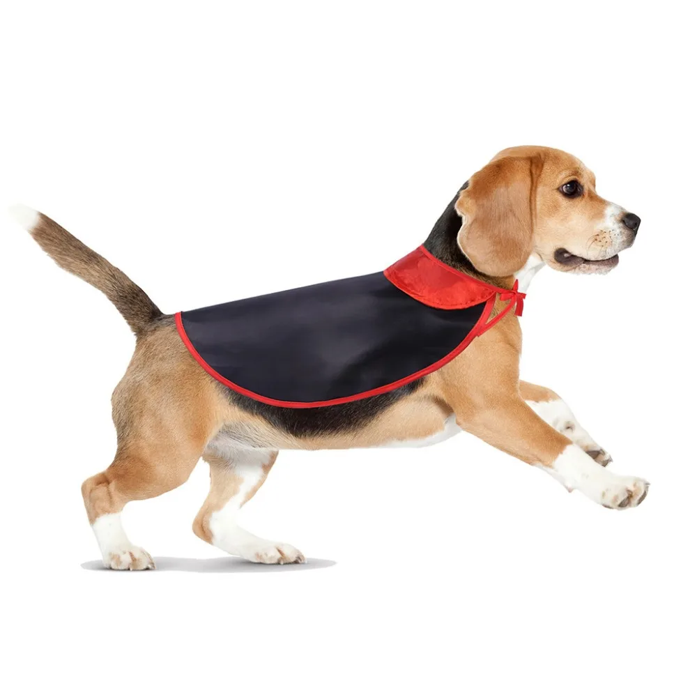 CJJ90805892_0339133357785067745