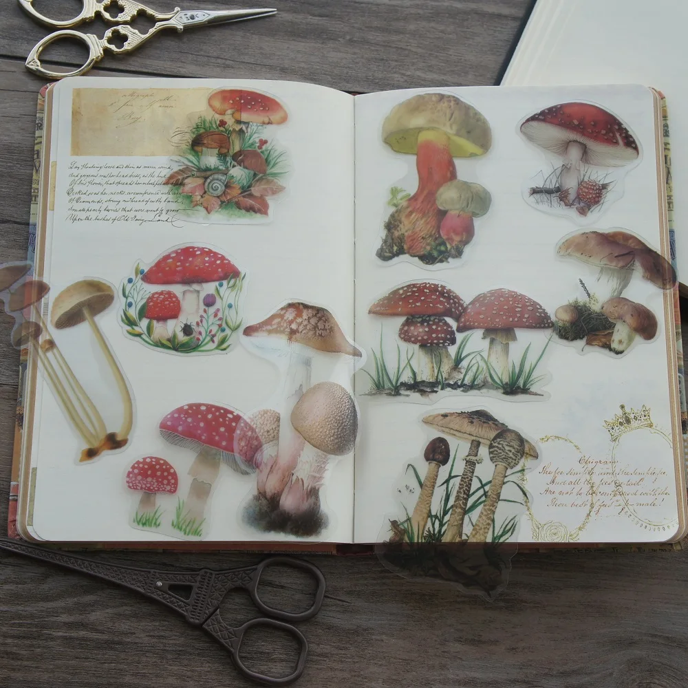 Decorative Stickers Decorative Labels Stickers DIY Scrapbooking Accessories 38pcs Colorful Natural Wild Mushroom Style Transparent Sticker Scrapbooking DIY Gift Packing Label Gift Decoration Tag