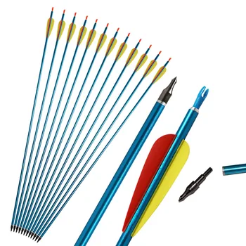 

12pcs 31inch Aluminium Arrows,Hunting Bow Arrows,for Archery Compound/Recurve Bow Hunting Target Archery Arrows Aluminum Arrow