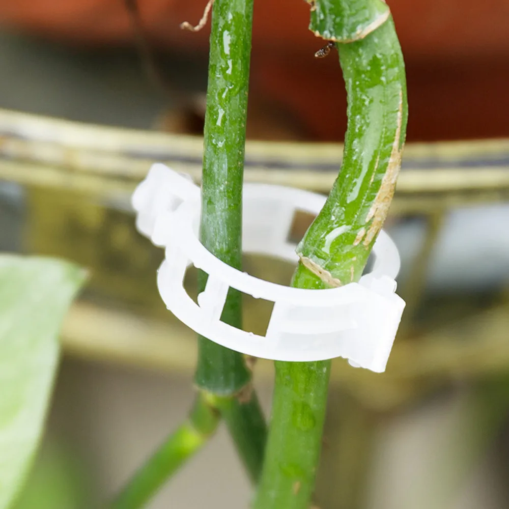 100 шт. шпалы зажимы для подвязки томатов поддерживает соединяет растения лоза шпалы шпагат клетки соединяет растения парниковые овощи сад GK