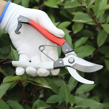 

Gardening Pruning Shear Cutting Diameter Fruit Trees Flowers Branches Scissors Hand Tools Garden Cutting Shears Picking Tool New
