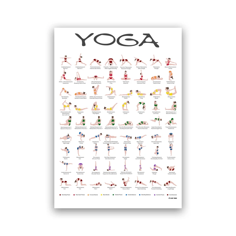 Amazon.com: Vive Yoga Poster - Poses for Beginners and Experts - Mat  Exercise Home Gym Workout Accessories Set- Double Sided Laminated Flow Chart  Accessory - Instructional Guided Routine - for Women, Men :